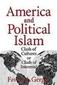 America and Political Islam: Clash of Cultures or Clash of Interests?