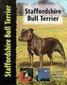 Staffordshire Bull Terrier