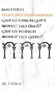Trost der Philosophie