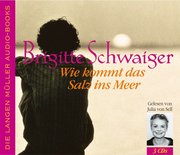 Wie kommt das Salz ins Meer