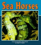 Walker,  Sally M.: Sea Horses