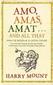 Amo, Amas, Amat... and All That