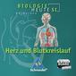 Biologie heute entdecken. Lernsoftware. Blut und Blutkreislauf. Sekundarstufe 1. CD-ROM für Windows ab 98