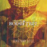 Jonathan Still: Bodhi Tree