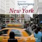 Spaziergang durch New York. CD