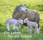 Ein Leben für die Schafe 2013