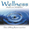 Wellness Musik zum Wohlfühlen 10. CD