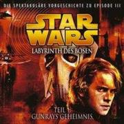 Star Wars - Labyrinth des Bösen 01. Gunrays Geheimnis