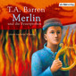 Merlin und die Feuerproben (3)
