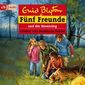 Fünf Freunde und der Hexenring