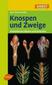 Knospen und Zweige