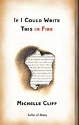 If I Could Write This in Fire