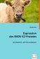 Expression desBVDV-E2-Proteins