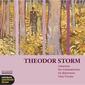 Theodor Storm. Die Box