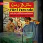 Fünf Freunde und das Schildkrötengeheimnis