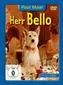 Herr Bello