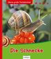 Die Schnecke