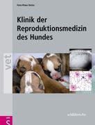 Mit DVD-Video zur vaginalendoskopischen Untersuchung...