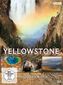 Yellowstone