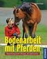Bodenarbeit mit Pferden