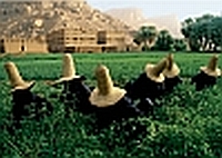 Innenansicht National Geographic